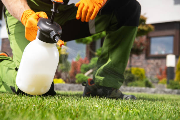 Best Rat Extermination Near Me  in Lan, MI