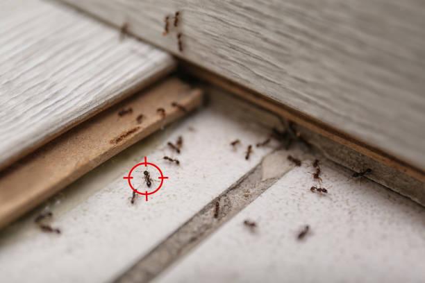 Best Pest Control Near Me  in Lan, MI
