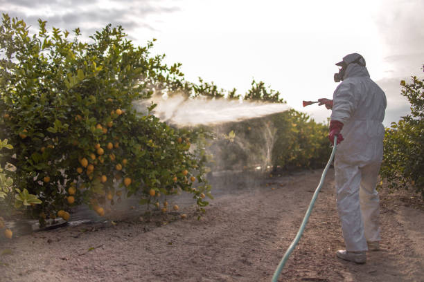 Trusted Milan, MI Pest Control Experts