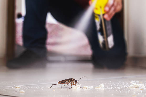 Best Wasp Removal Services  in Lan, MI