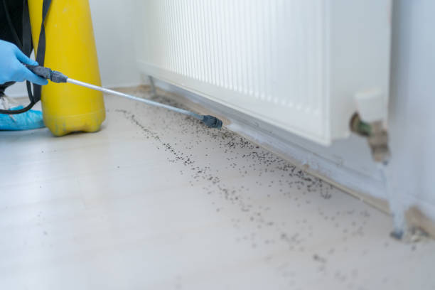 Best Ant Control Services  in Lan, MI