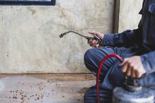 Best Termite Control Services  in Lan, MI