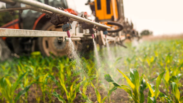 Best Mosquito Control Services  in Lan, MI